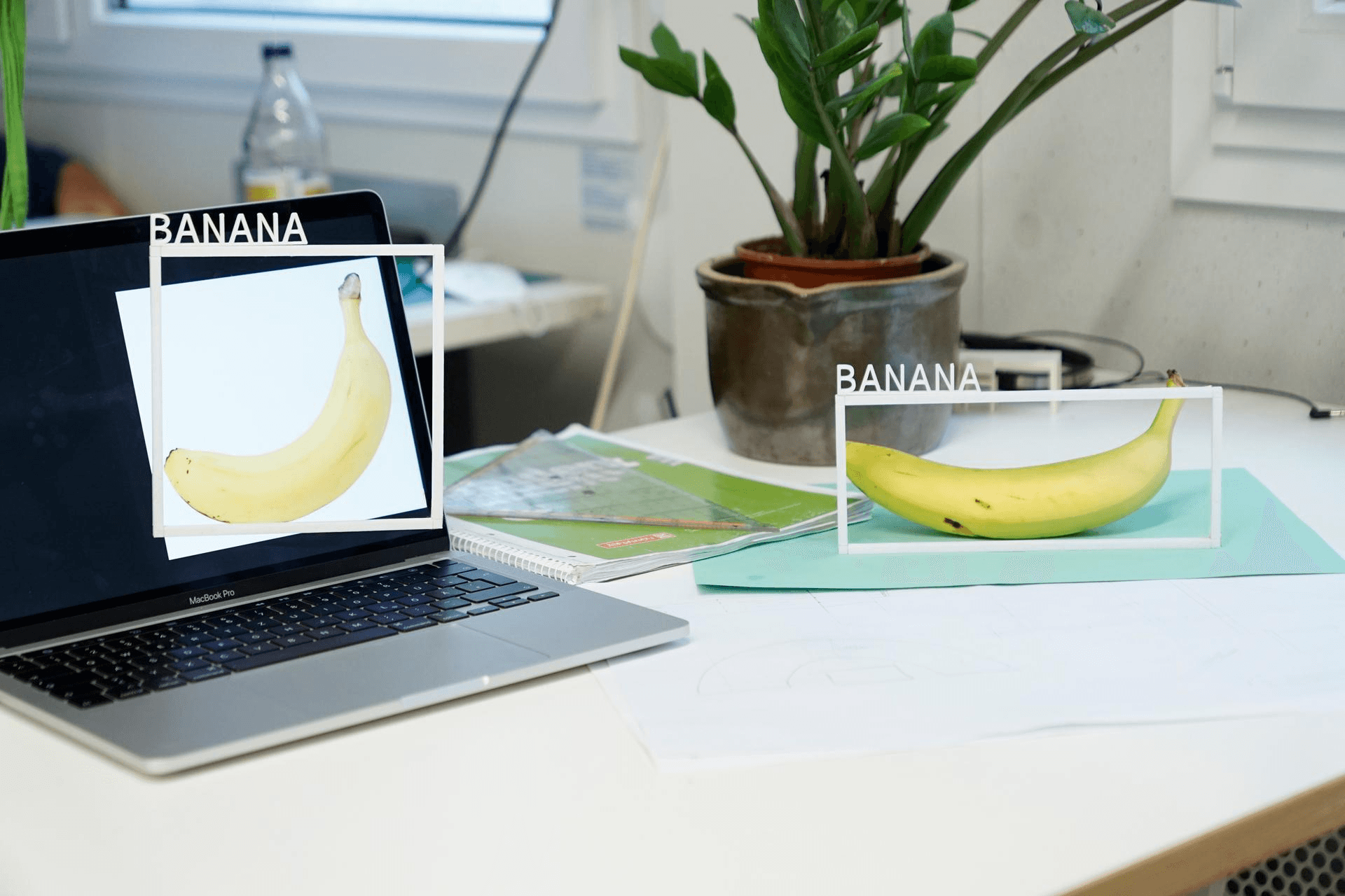 Data Annotation