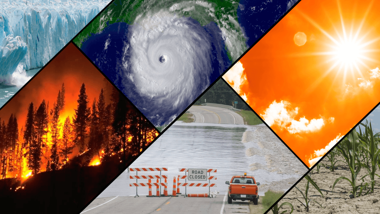 Environmental Damage